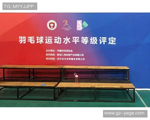 南京羽毛球队心理素质的变革与提升探讨热议羽毛球运动的未来发展